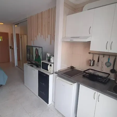 Central Studio With Sea View Balcony! Apartment Puerto de la Cruz (Tenerife)